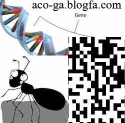 انجام پروژه با الگوریتم مورچگان، الگوریتم ژنتیک، الگوریتم تبرید شبیه سازی، جستجوی ممنوعه - aco ga sa ts