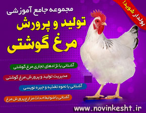 آموزش مرغداری و پرورش مرغ گوشتی | کتاب بهمراه سی دی