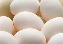 فروش تخم مرغ باکیفیت بالا در اشتهارد