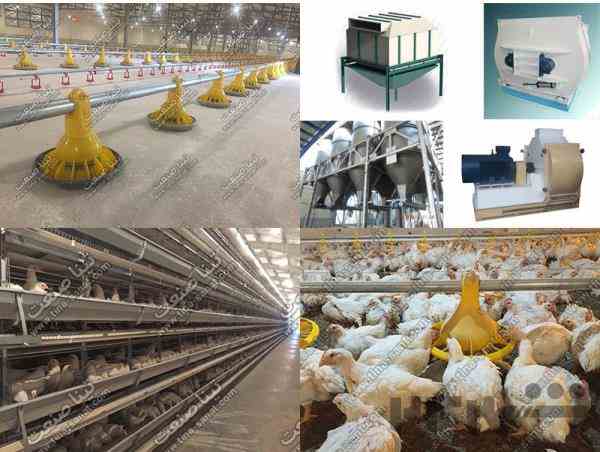 تجهیزات مرغداری و ماشین آلات و تجهیزات خط تولید خوراک دام و طیور و آبزیان