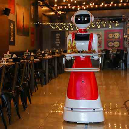 سرمایه گذاری پر سود در رستوران رباتیک