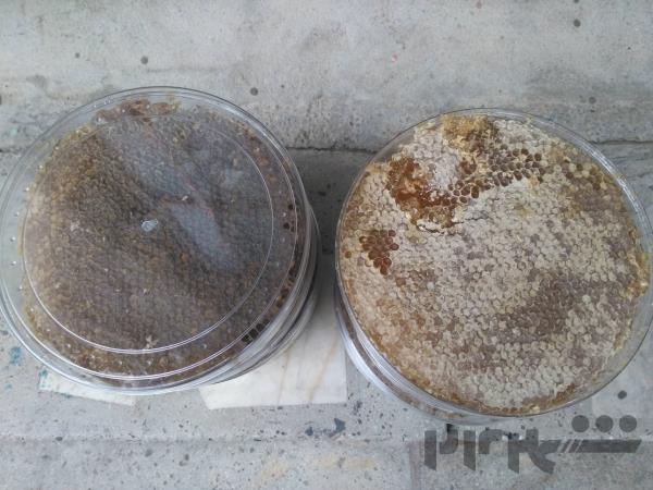 عسل طبیعی چهل چشمه-کردستان