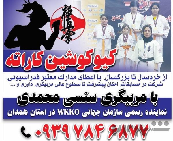 مدرسه کاراته سنسی محمدی