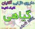 داروی نازایی آقایان