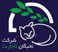طراحی وب سایت زیبا-شرکت نخبگان تجارت