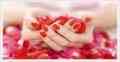  کاشت ناخن پودر ، ژل ، Mix  