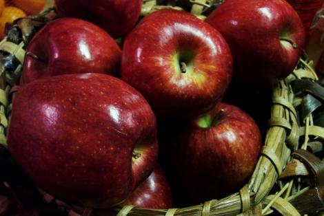تولید، فروش و صادرات کنسانتره سیب
