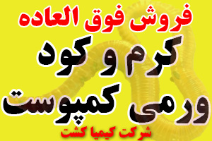 کرم و کود ورمی کمپوست (کرم ایزینیا فتیدا)