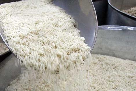 پخش برنج محمدی