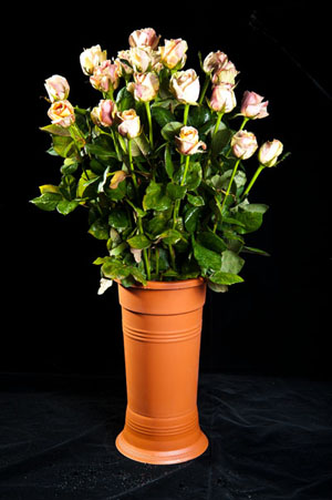 گلدان تک شاخه -گلدان گلپونه
