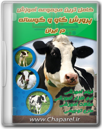کامل ترین مجموعه آموزش پرورش گاو و گوساله در ایران