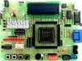 برد آموزشی CPLD های ( XILINX (XC9572PC84 مدل NSK105    