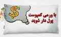 فروش ویژه کرم کالیفرنیایی و ورمی کمپوست