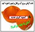 آبمیوه گیری مسافرتی