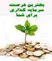 بازاریاب شما در شیراز