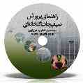 راهنمای جامع پرورش صیفیجات گلخانه ای 