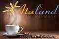 دوره های آموزشی کافی شاپ
