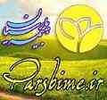 بیمه بازنشستگی دوم - بیمه سرمایه گذاری طلایی