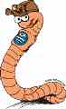 فروش کرمورمی کمپوست ( ایزینیا فتیدا)