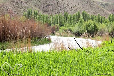 تور طبیعت گردی -غار بورنیک روستای هرانده