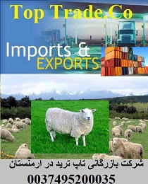 صادرات گوسفند از ارمنستان