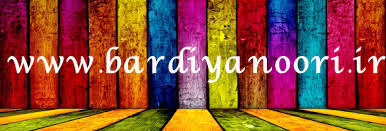 وبسایت bardiya