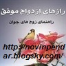 ازدواج ایده آل