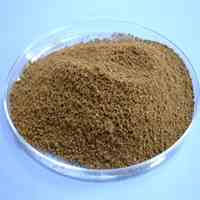کارخانه ساحل کار انزلی (تولید و فروش پودر ماهی)