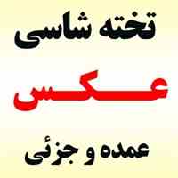 دنیای تخته شاسی ---- عمده و جزئی