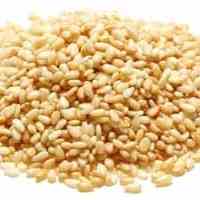 فروش کنجد مخصوص روغن گیری 