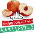 نرم افزار هلو نرم افزار حسابداری ویژه تمامی مشاغل