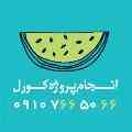 انجام پروژه های کورل