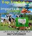 صادرات فرآورده های دامی از ارمنستان به امارات ،ایران،عراق،قطر...