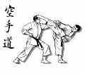 آموزش خصوصی کاراته شیتوریو