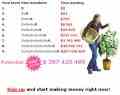کسب درآمد ماتریسی9*9