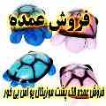 فروش عمده چراغ خواب لاک پشت موزیکال یو اس بی دار