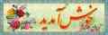 خدمات ایرانیان