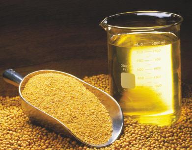 روغن کنجد  با مرغوبترین قیمت وکیفیت