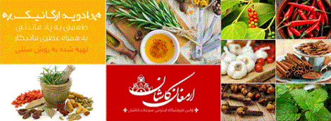 فروشگاه اینترنتی و سوغات کاشان