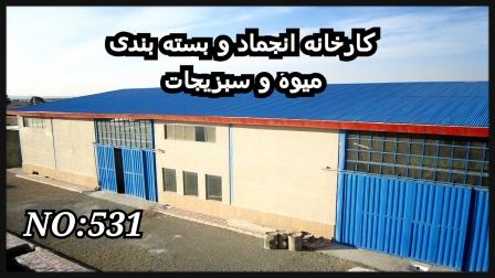 فروش کارخانه انجماد و بسته بندی میوه و سبزیجات