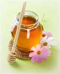 تولید کننده عسل صادرات واردات 