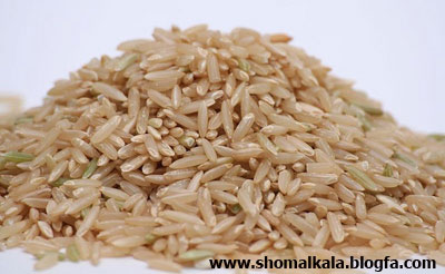 فروش محصولات برنج