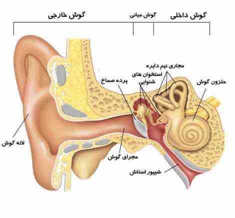 افتتاح مطب