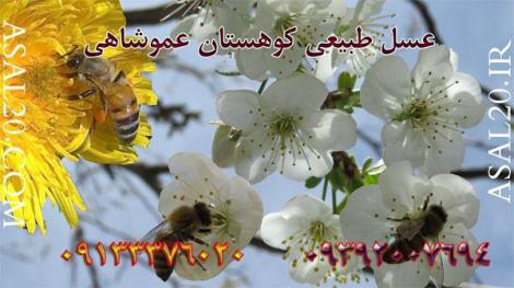 گرده طبیعی گل های کوهستان