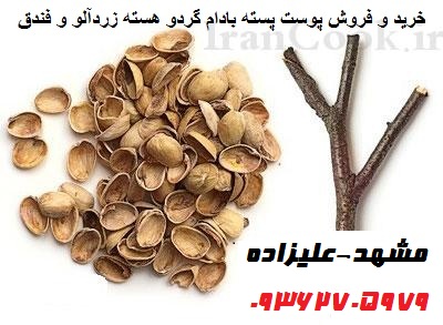 خرید و فروش پوست پسته بادام گردو در تناژ