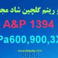 ست جدید A&P1394 مخصوص کرگ Pa600,900,3X