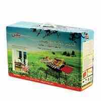 کباب پز دوگانه سوز پلین 