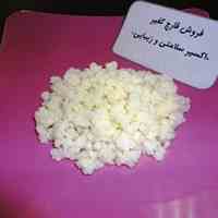 قارچ کفیر.اکسیر سلامت و زیبایی  و دوغ کفیر