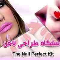 دستگاه طراحی ناخن  The Nail Perfect Kit