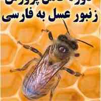آموزش جامع پرورش زنبور عسل /اورجینال